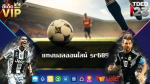 แทงบอลออนไลน์ sr689