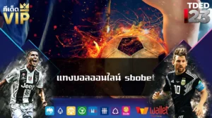 แทงบอลออนไลน์ sbobet