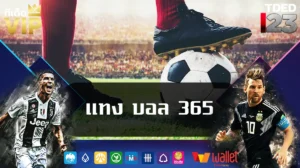 แทง บอล 365