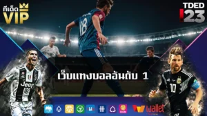 เว็บแทงบอลอันดับ 1